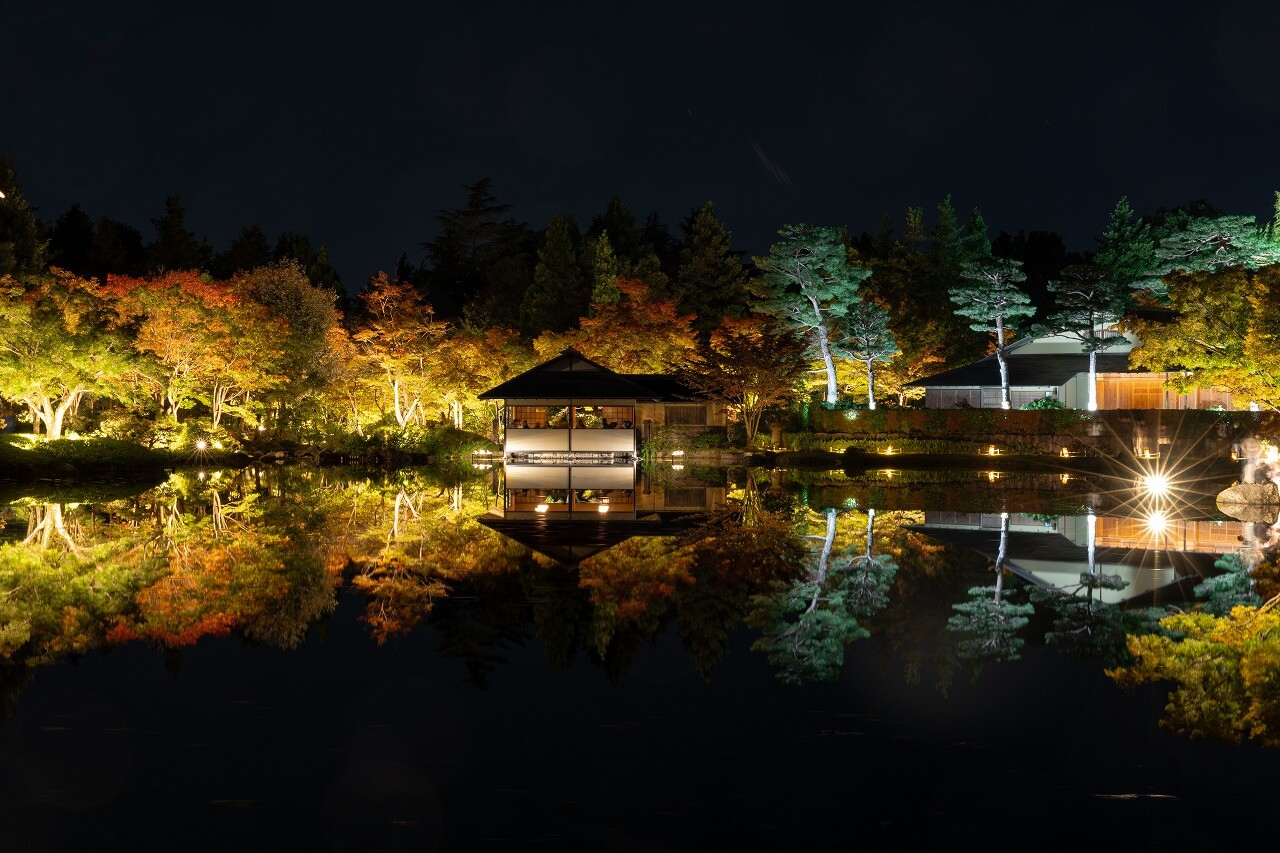 ライトアップされた日本庭園